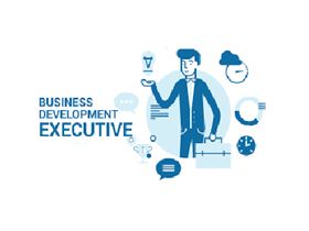 Business Development Executive